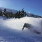 Sam Burgess's photo