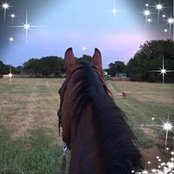 Miranda Langley's photo