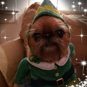 Roxanne Waldner's photo
