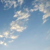 Margot Brewer's photo