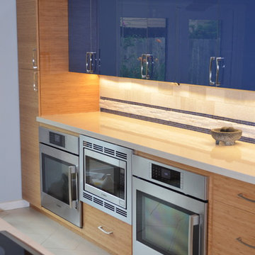 Universal Design Kitchen for accessibility and aging in place