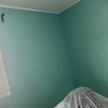 Guest Bedroom Restoration