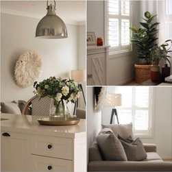 Chic Shutters - Window Treatments
