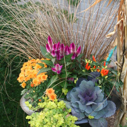Fall Container Gardens - Products