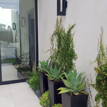 Modern simplicity