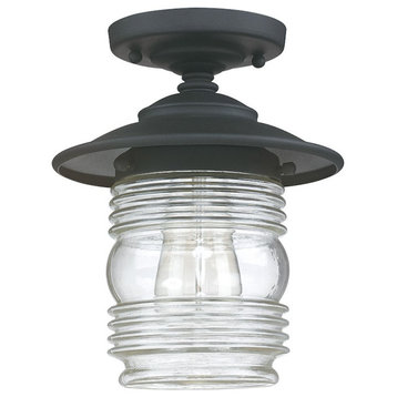 Capital Lighting Creekside 1 Light Outdoor Ceiling, 10", Black, Clear
