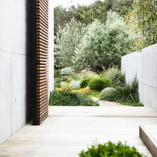 Gardens - Native
