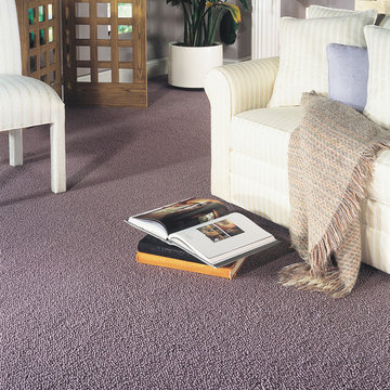 Stainmaster Carpets