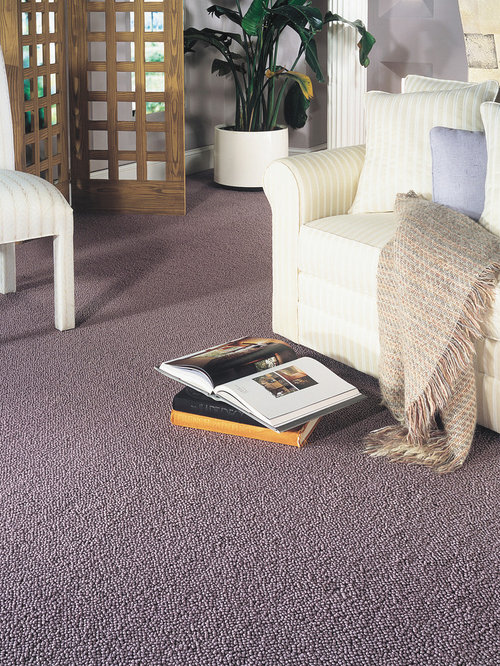 Stainmaster Carpet Houzz