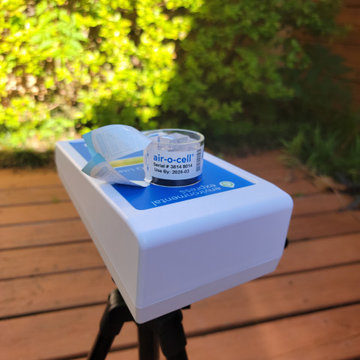 Mold Testing