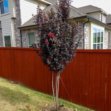 Flowering Trees & Shrubs