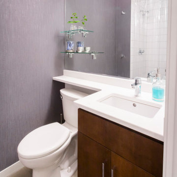 Minneapolis Whole Home Renovation