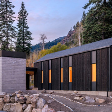 TIGER & MIDNIGHT SPLIT CABIN