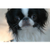Alissa Swedlow's photo