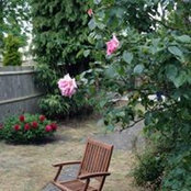 Debbie Sargeant's photo