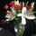 dory_rousseau
