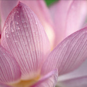 Brittany Klaassen's photo