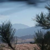 Terry Luebbert's photo
