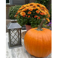 Karen Fron Interior Design's profile photo