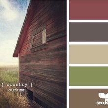 Paint Colors