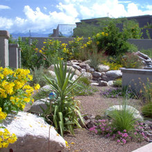 Landscape By Pool