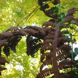Sculpture by Anne Roberts of Fenton Roberts Garden Design - Garden Products