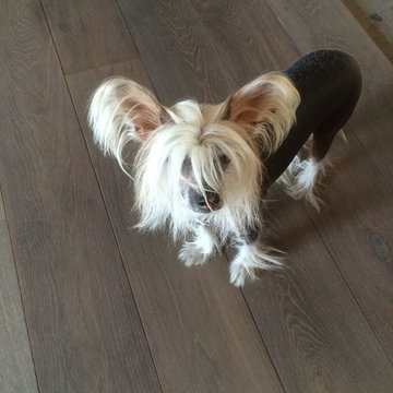 French Grey Oak Flooring