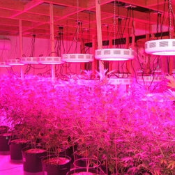 LED Aquarium Light - Products