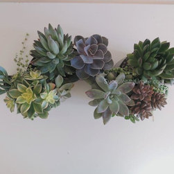 Metal Contemporary Tabletop Planter - Products