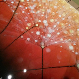 Bubble art - Products