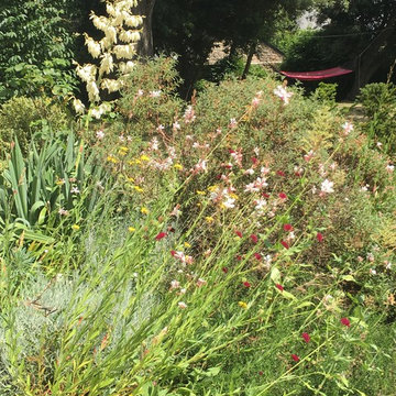 Jardin naturel