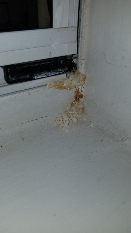Awful odor coming from window