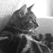 Cheryl Mackay's photo