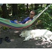 David Stoehr's photo