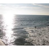 Mike Kessler's photo