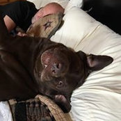 Bosco Hensley's photo