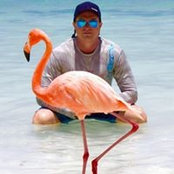 William Cummings's photo