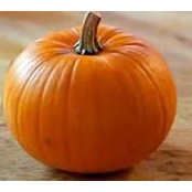 Christine Raush's photo