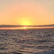 Carol Clements Teaster's photo