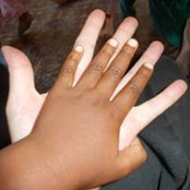Michelle Sheehy's photo