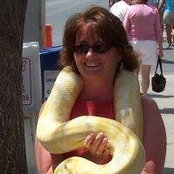 Brenda Strohm Dinkfeld's photo
