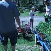 Stacey Sonier's photo
