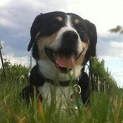 Sandra Berger's photo