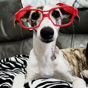 Jenny Boyd's photo