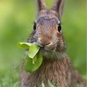 Brenda Surbeck's photo