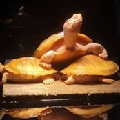 Manuel Delgado's photo