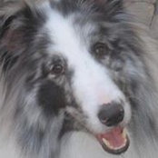 Hecate Nyx's photo