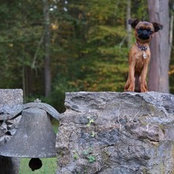 Foto von gpanzano