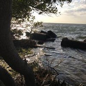 Foto von Lynn Taliaferro