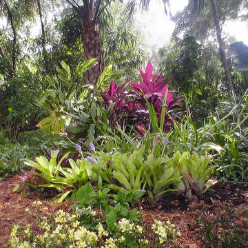 Florida Friendly Landscaping